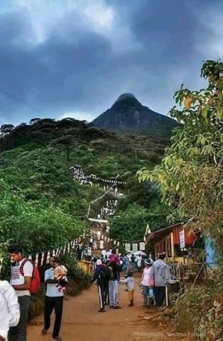 Lily Adam'S Peak Bed and Breakfast Nallathanniya Exteriör bild