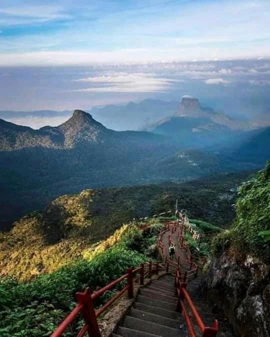 Lily Adam'S Peak Bed and Breakfast Nallathanniya Exteriör bild
