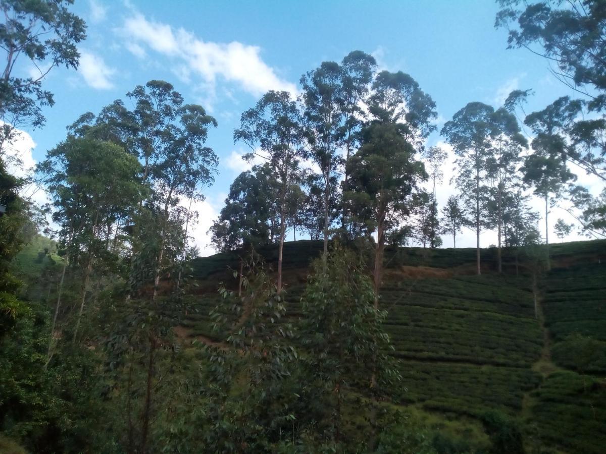 Lily Adam'S Peak Bed and Breakfast Nallathanniya Exteriör bild