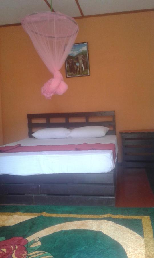Lily Adam'S Peak Bed and Breakfast Nallathanniya Exteriör bild